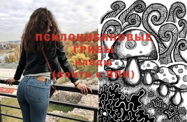 бошки Рославль