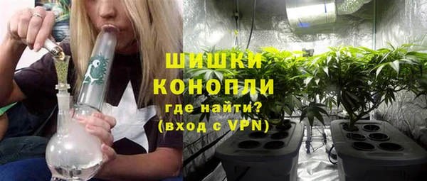 мдпв Богородицк