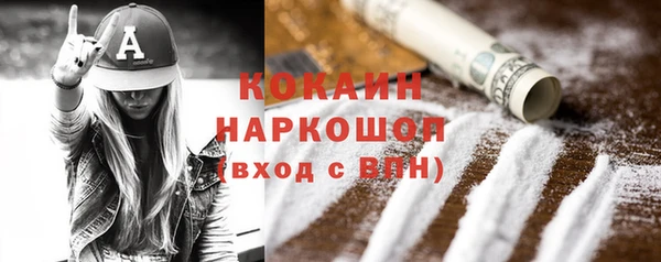 мдпв Богородицк